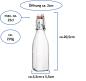 Preview: Swing Bügelflasche 0,25L - 12 Stück